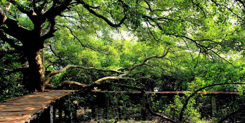 Coringa Wildlife Sanctuary