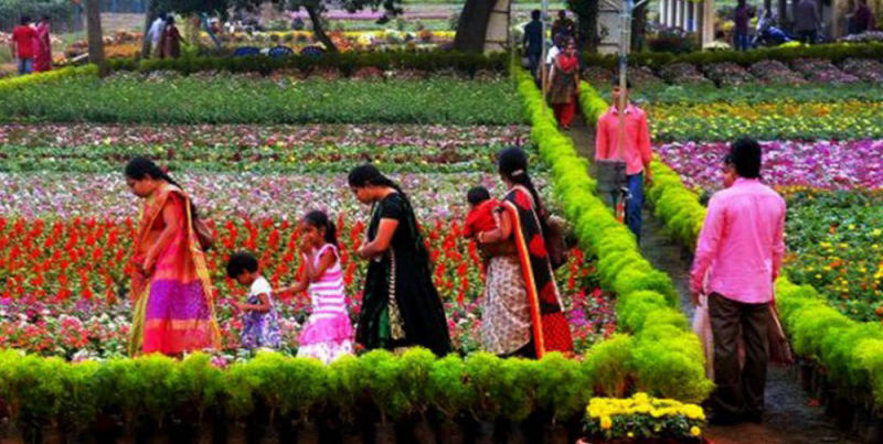 Kadiyam Nursery