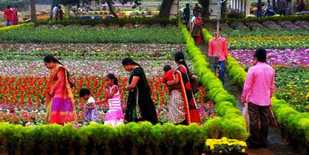 Kadiyam Nursery
