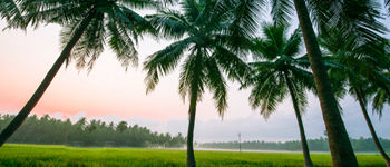 Konaseema Tourism