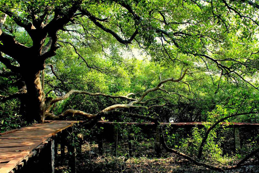Coringa Wildlife Sanctuary