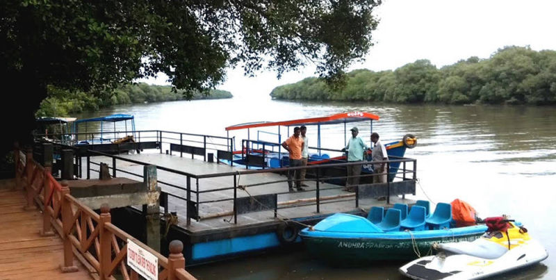 Mada Forest Boating