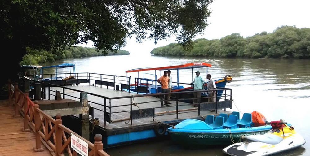 Mada Forest Boating