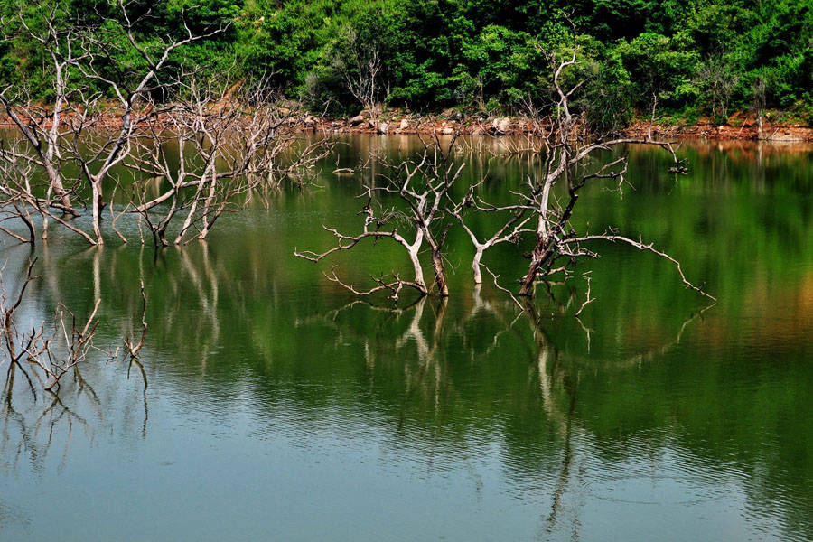 Bhupathipalem Project