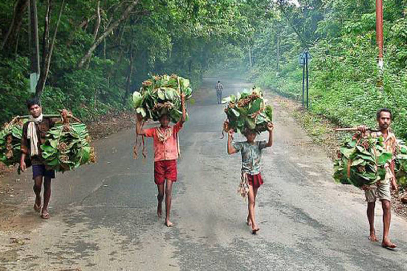 Maredumilli Tribals
