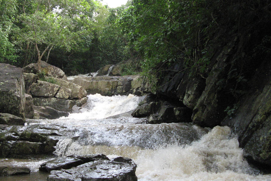 Maredumilli Waterfalls