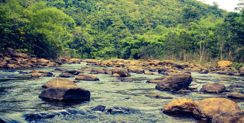 Maredumilli Waterfalls